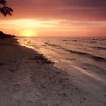 Jaerve * Tehumardi