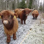 Jaerve Nyaraló Tehumardi