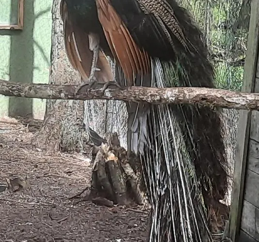 Jaerve Prázdninový dům