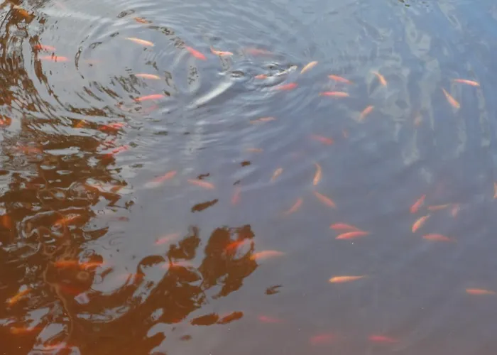 Prázdninový dům Jaerve Tehumardi