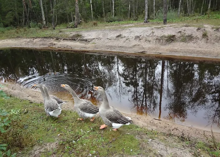 Prázdninový dům Jaerve