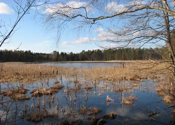 Дом отдыха Jarve Tehumardi