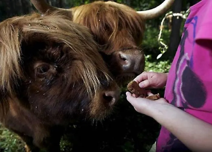 Jaerve Prázdninový dům Tehumardi