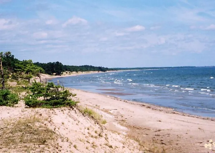 Jarve Дом отдыха Tehumardi